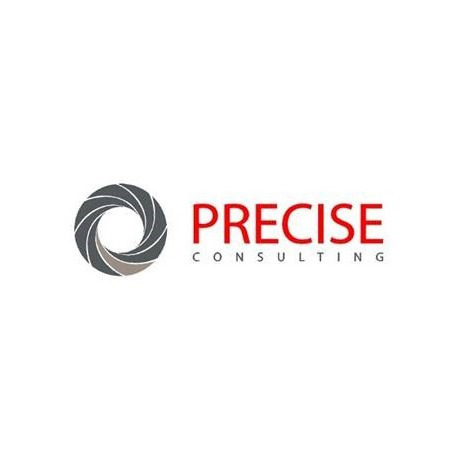 Precise Ltd