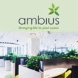 Ambius Plantscaping