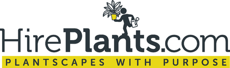 Hire Plants Ltd