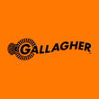 Gallagher Security