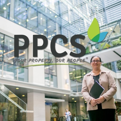 PPCS - Professional Property and Cleaning Services